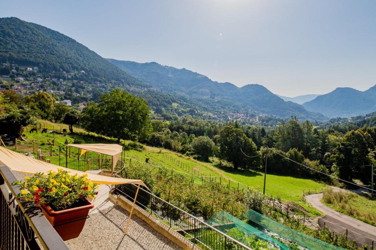 Agriturismo La Cascina B&B 산 페델레 인텔비 외부 사진